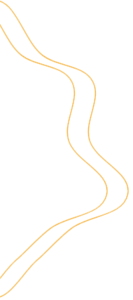 vector